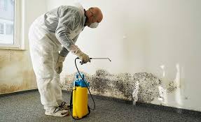 Best Biohazard Mold Removal  in Crouch Mesa, NM